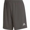 Gloednieuw 💯 Adidas Entrada 22 Training Short Dames 🔔